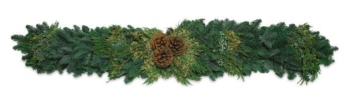 christmas-greens_336